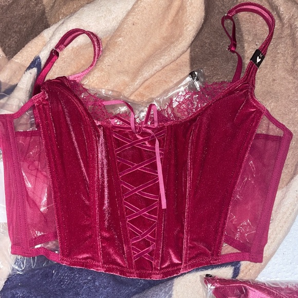 PINK x LoveShackFancy Unlined Lace-Up Corset Top - Picture 5 of 16